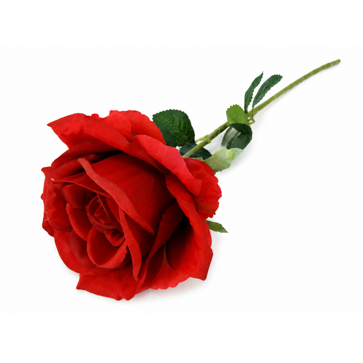 Dirbtinė gėlė ROSE, raudonos sp., 78 cm-0