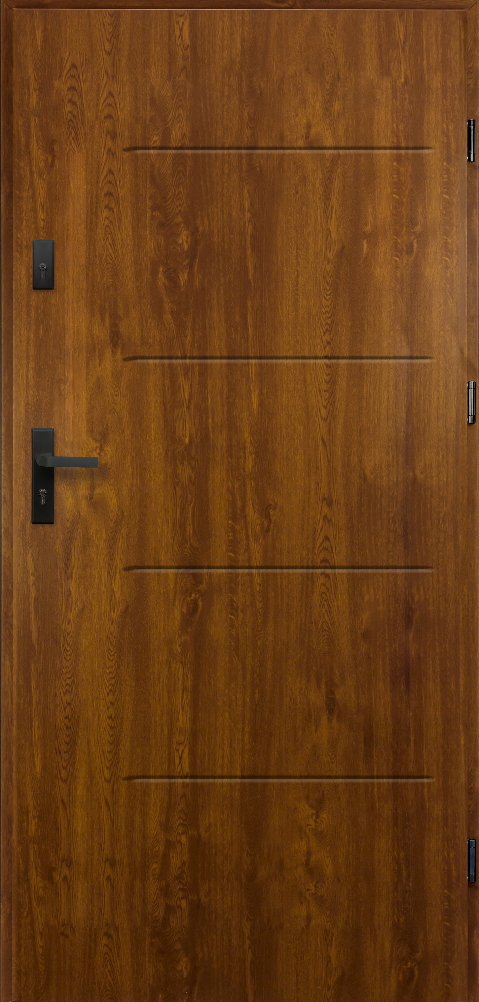 Lauko durys RADEX P55 TYTAN, auksinio ąž. sp., 950 x 2039 mm, dešinė-0