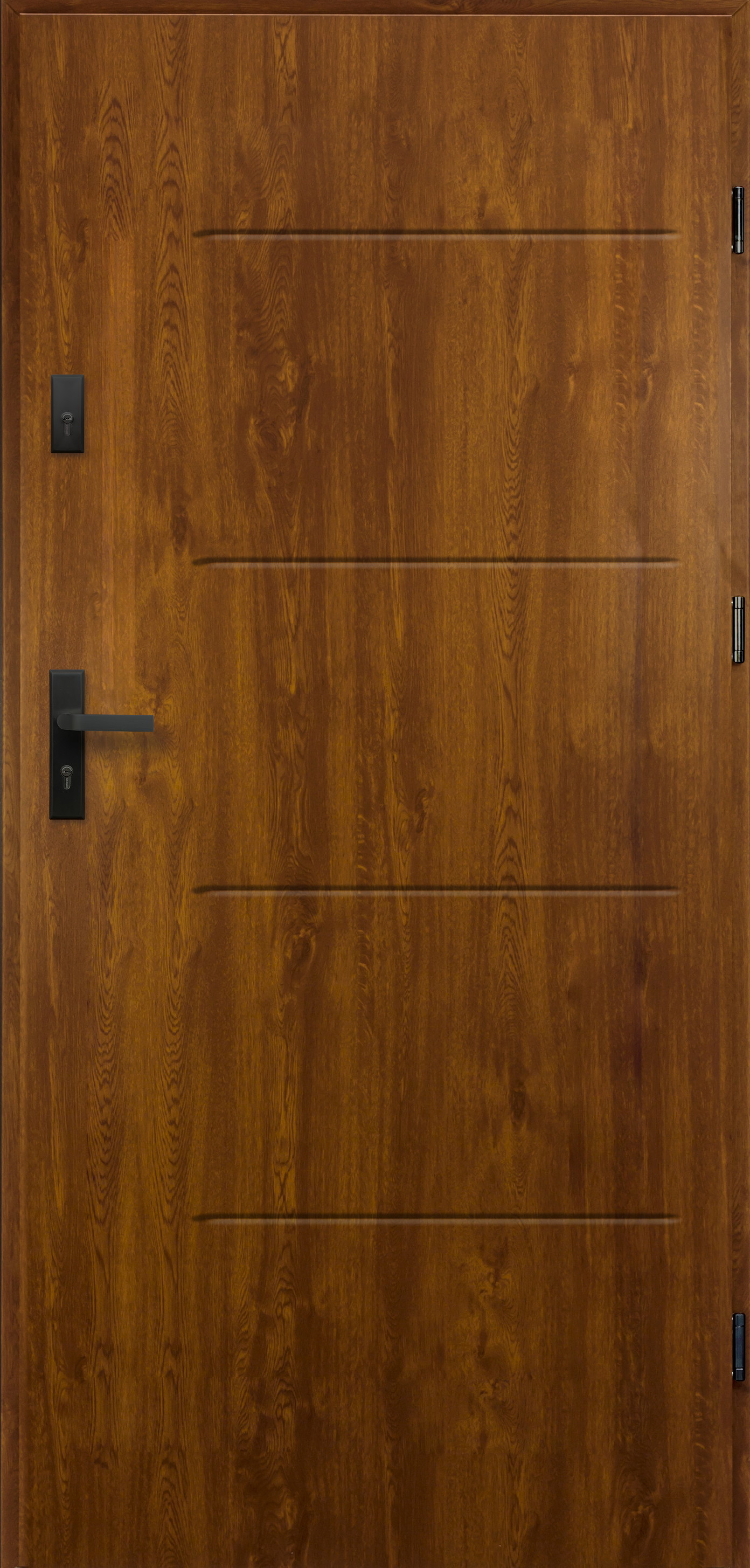 Lauko durys RADEX P55 TYTAN, auksinio ąž. sp., 950 x 2039 mm, kairė-0