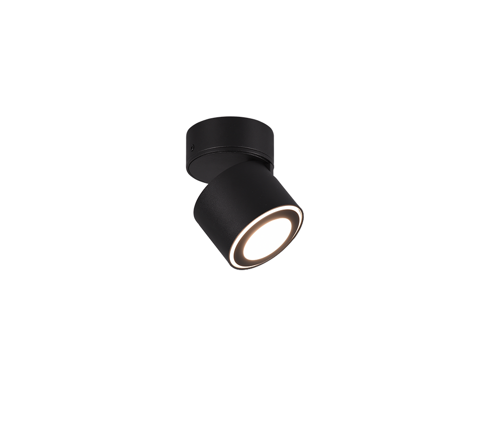 Taškinis LED šviestuvas TRIO Taurus, 1 x 5W, 3000K, 450lm, juodos sp., ø8 x 10 cm