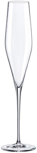 Taurės šampanui RONA SWAN, 190 ml, 6 vnt.