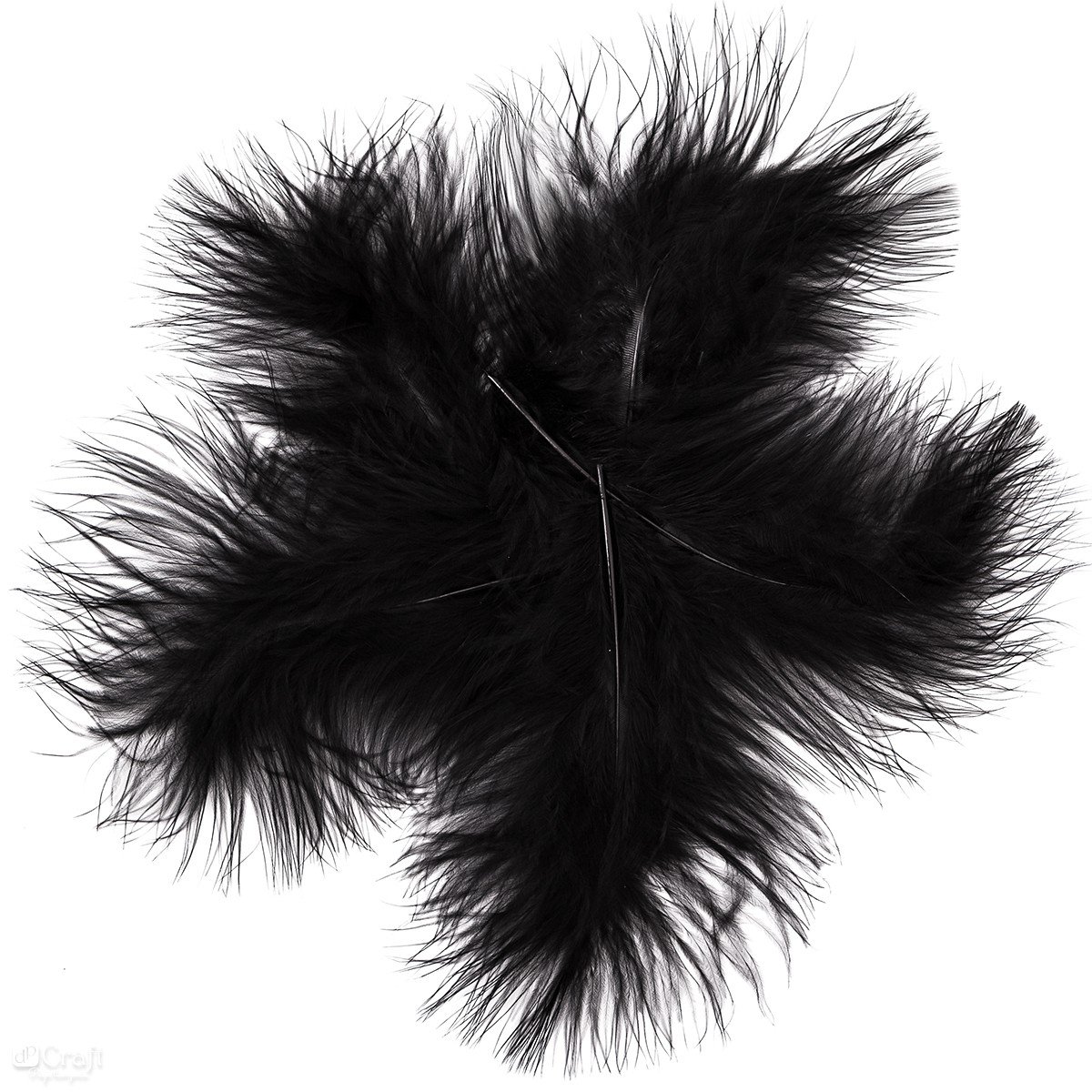 Kalakuto plunksnos, 15 cm, 5 vnt., juodos