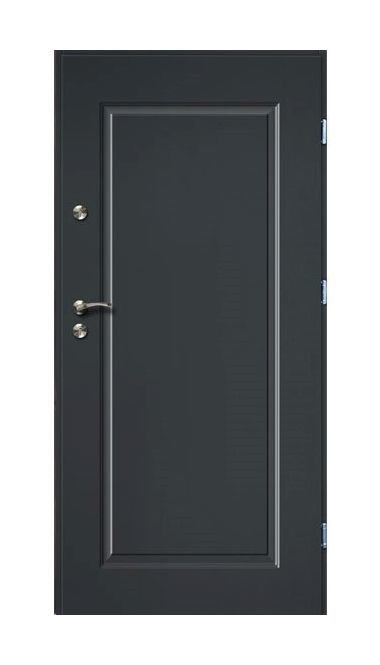 Lauko durys RADEX SQUARE, antracito sp., 900 x 2070 mm, dešinė