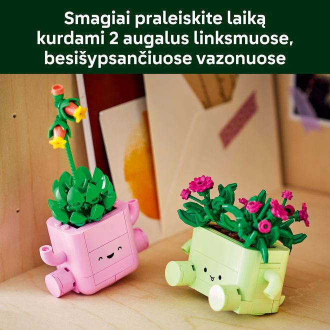 Konstruktorius LEGO Rocking Plants 11506 - 4