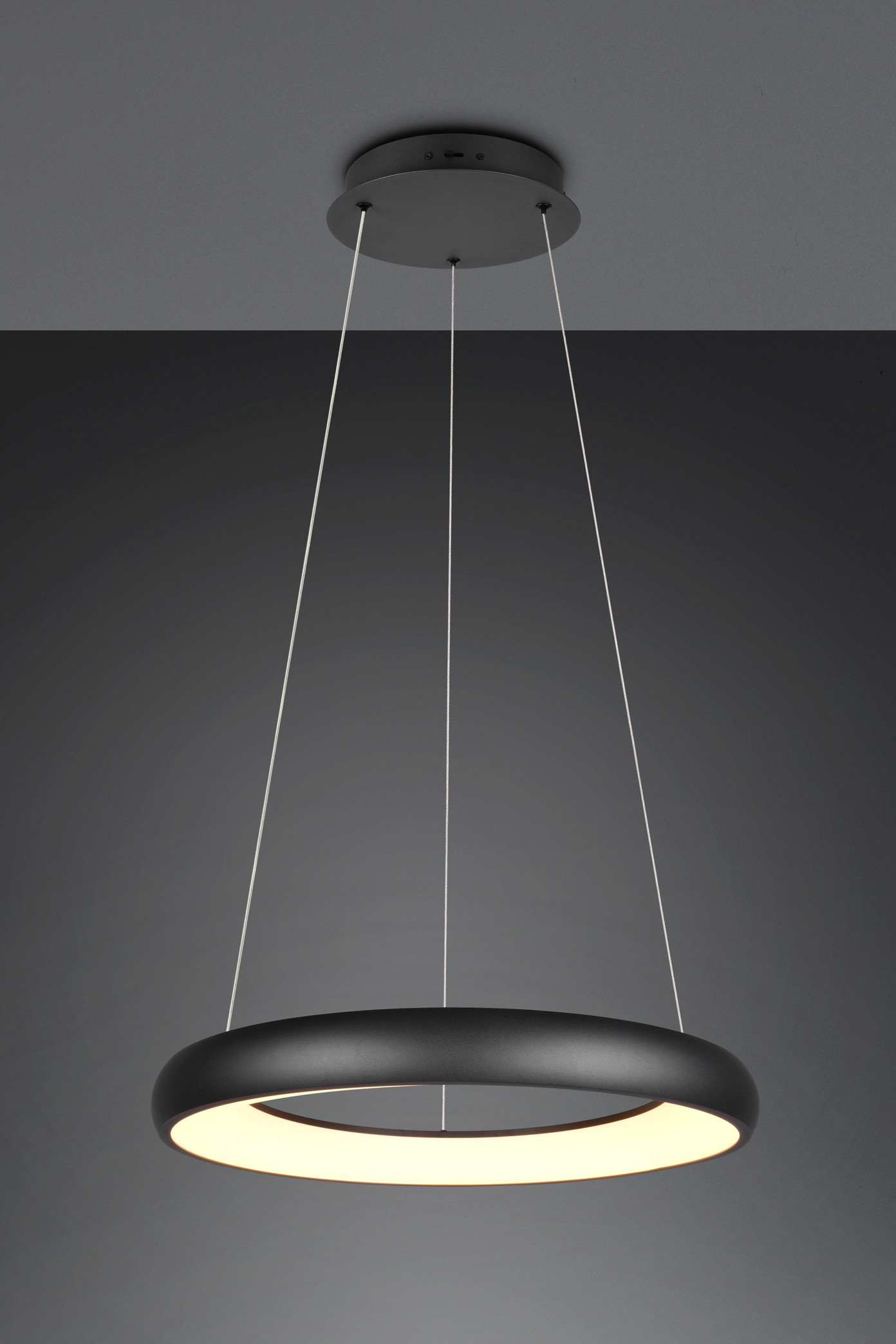 Pakabinamas LED šviestuvas TRIO CARDONA, 40 W, 2300/3000/4000K, 4800lm, DIM, 60x150cm-0