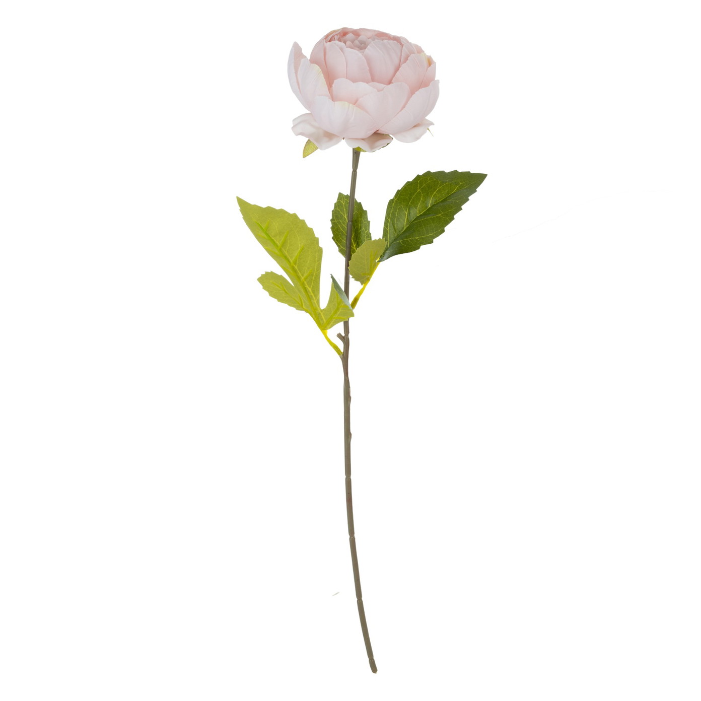 Dirbtinė gėlė ILAJA PEONY, 4 spalvos, 45 cm, 1 vnt-1