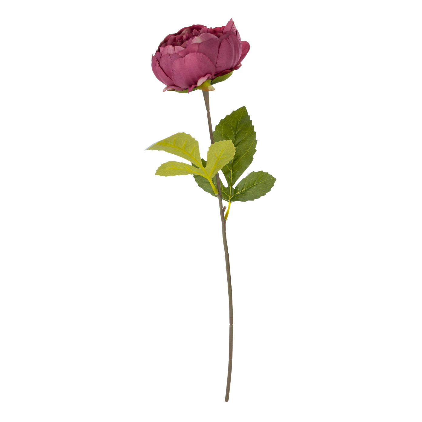 Dirbtinė gėlė ILAJA PEONY, 4 spalvos, 45 cm, 1 vnt - 3