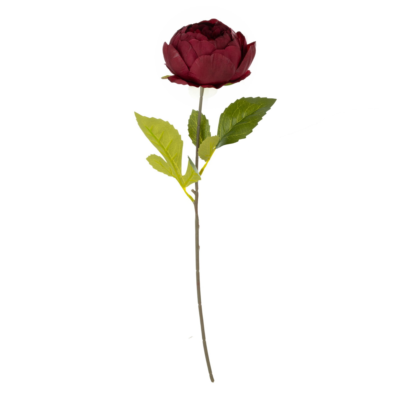 Dirbtinė gėlė ILAJA PEONY, 4 spalvos, 45 cm, 1 vnt - 4