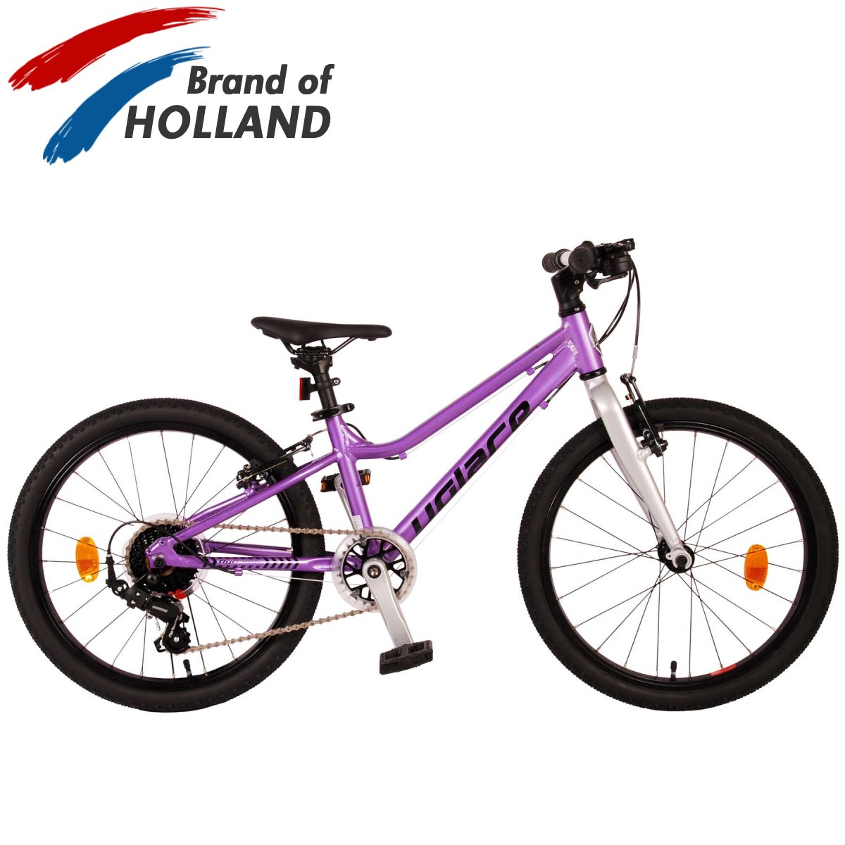 Vaikiškas dviratis VOLARE 20" Dynamic (22092) violetinis