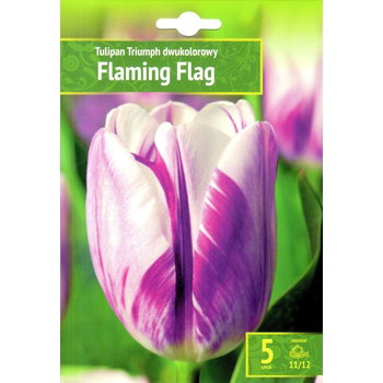 Tulpių svogūnėliai, lot. TULIPA FLAMING FLAG, 5 vnt-0