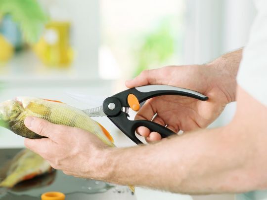 Žuvies žirklės FISKARS FF, 22 cm-1