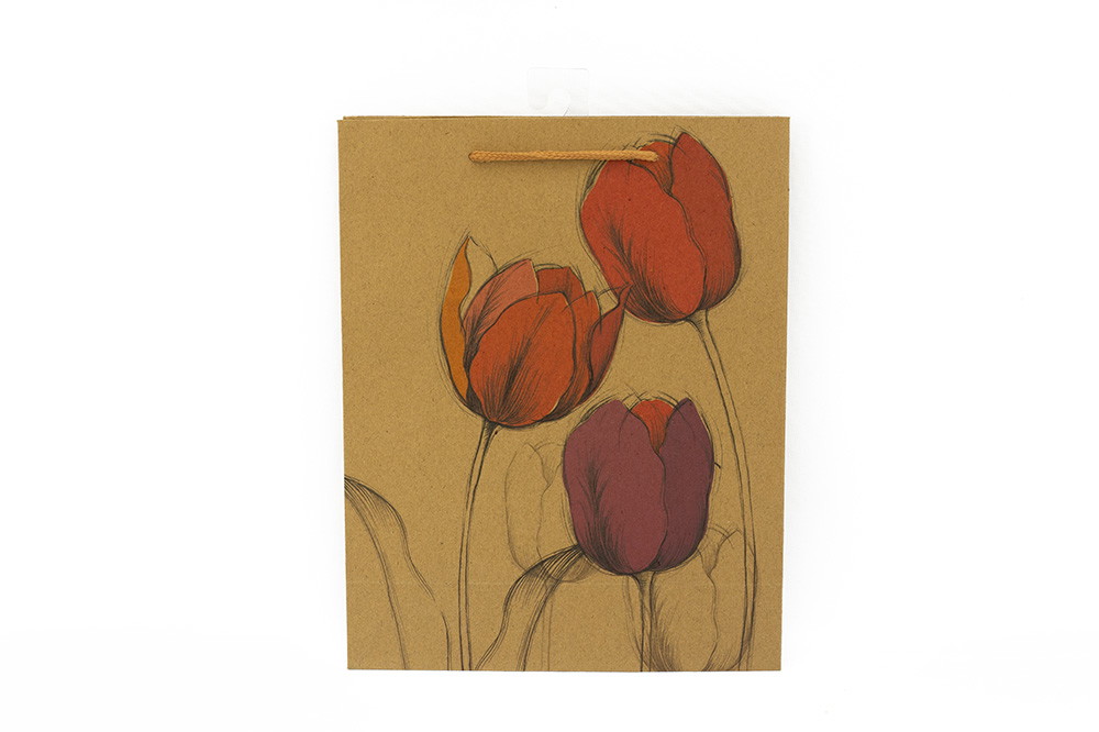 Dovanų maišelis, įvairių rūšių, 25 x 20 x 8 cm - 6