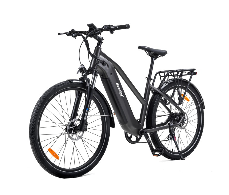 Elektrinis dviratis Beaster BS114G, 250 W, pilkas - 1
