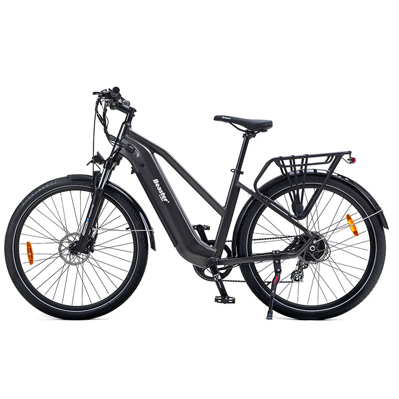 Elektrinis dviratis Beaster BS114G, 250 W, pilkas - 5