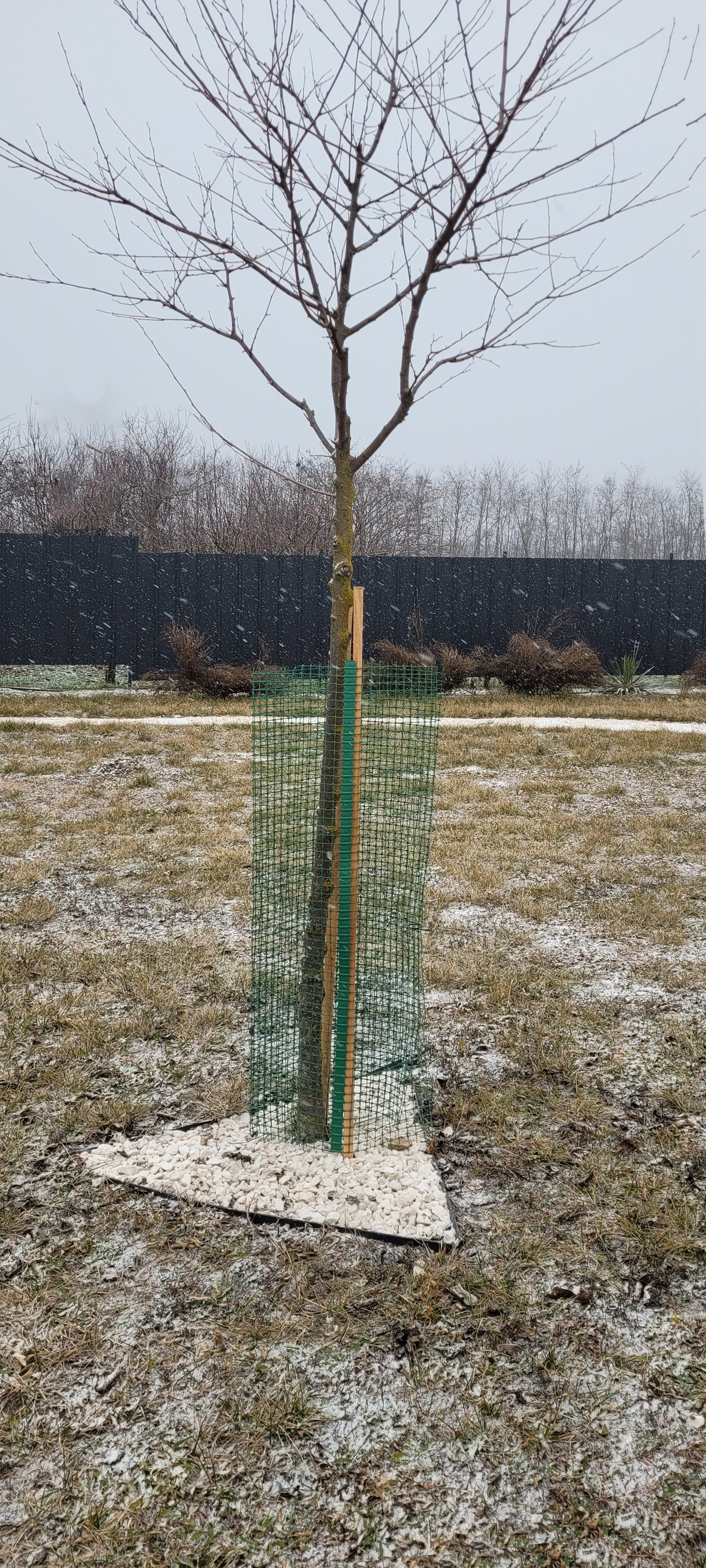 Apsauginis tinklas medeliams SHELTER FR5, 20 x 20 mm, 120 cm-1