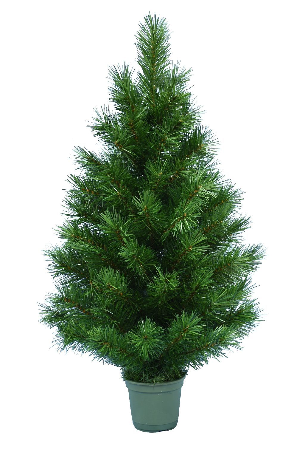 Dirbtinė eglutė SCOT PINE, 90 cm-0