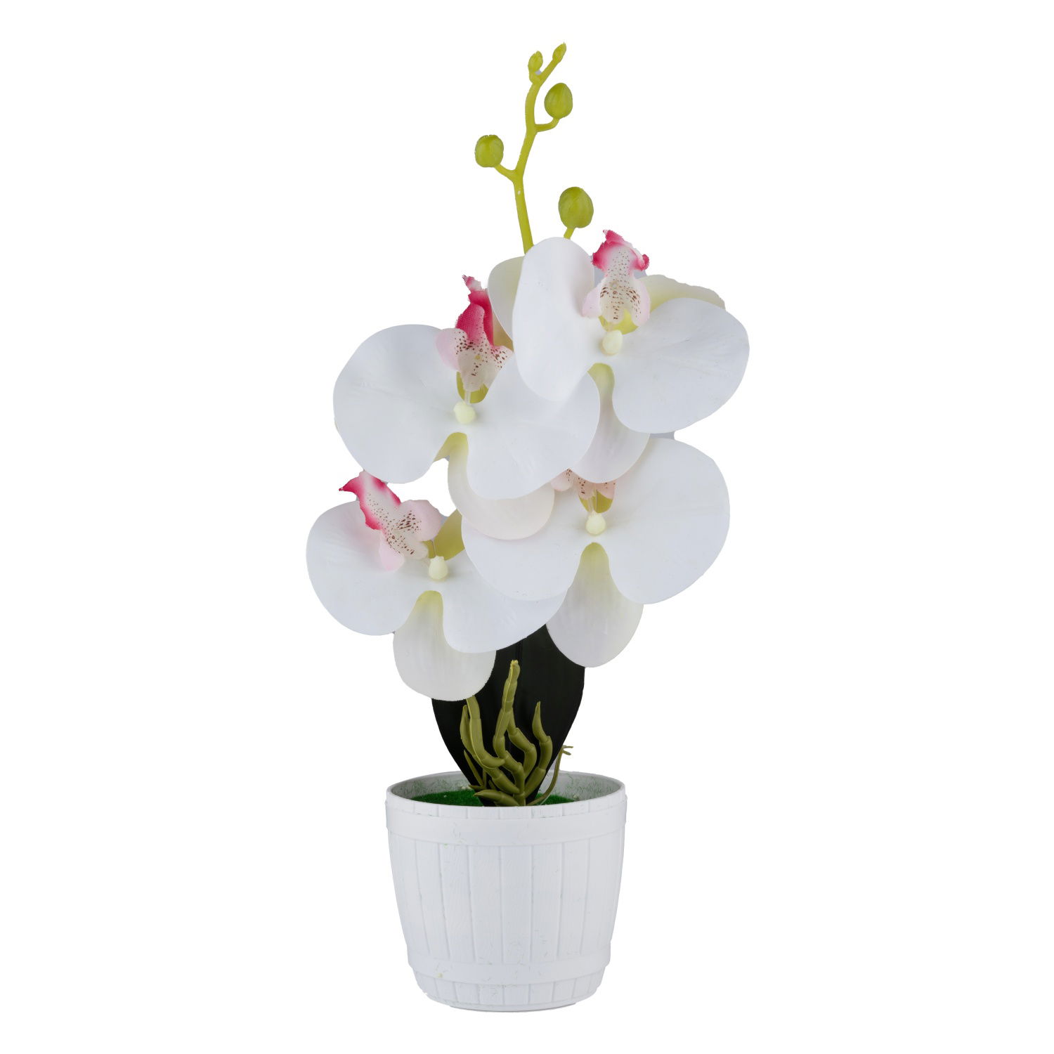 Dirbtinė gėlė vazonėlyje ILAJA ORCHID, baltos sp., 25 cm-0
