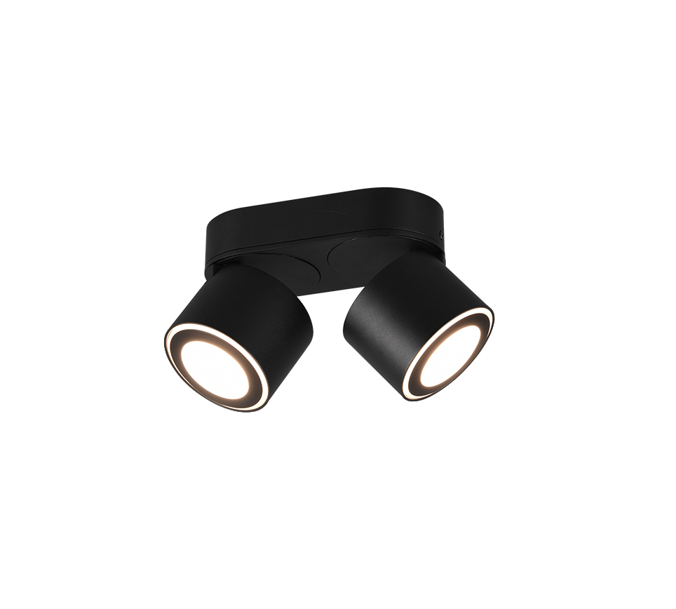 Taškinis LED šviestuvas TRIO Taurus, 2 x 5W, 3000K, 2 x 450lm, juodos sp., 8 x 18 x 10 cm