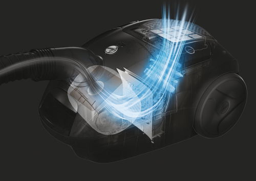Dulkių siurblys HOOVER TXL80PET 011-1