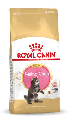Sausas ėdalas Meino meškėno veislės kačiukams Royal Canin Maine Coon Kitten, 10 kg