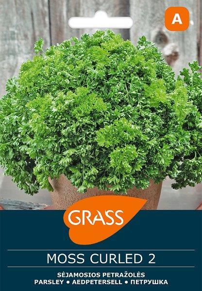 Garbanotųjų petražolių sėklos MOSS CURLED 2, 2 g-0