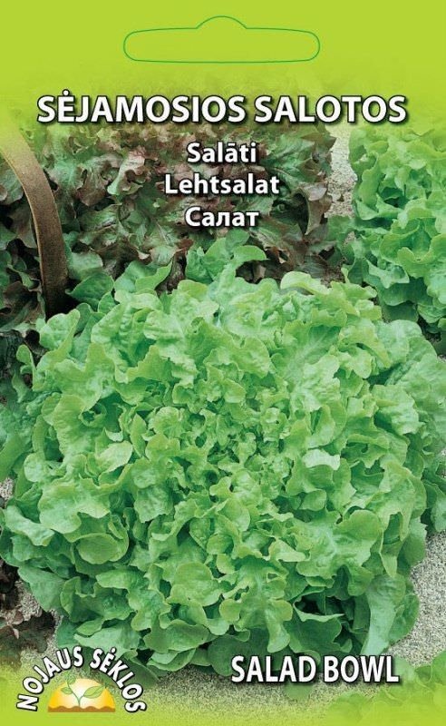 Sėjamųjų salotų sėklos SALAD BOWL, 1 g