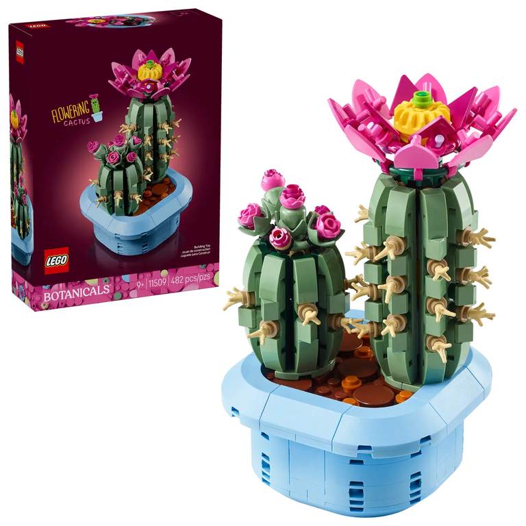 Konstruktorius LEGO Botanicals Flowering Cactus-0