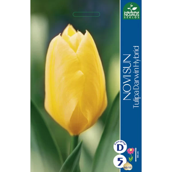 Tulpių svogūnėliai, lot. TULIPA NOVI SUN, 3 vnt-0