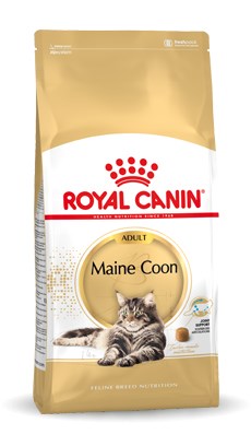 Sausas ėdalas Meino meškėno veislės suaugusiosm katėms Royal Canin FBN Maine Coon Adult, 10 kg