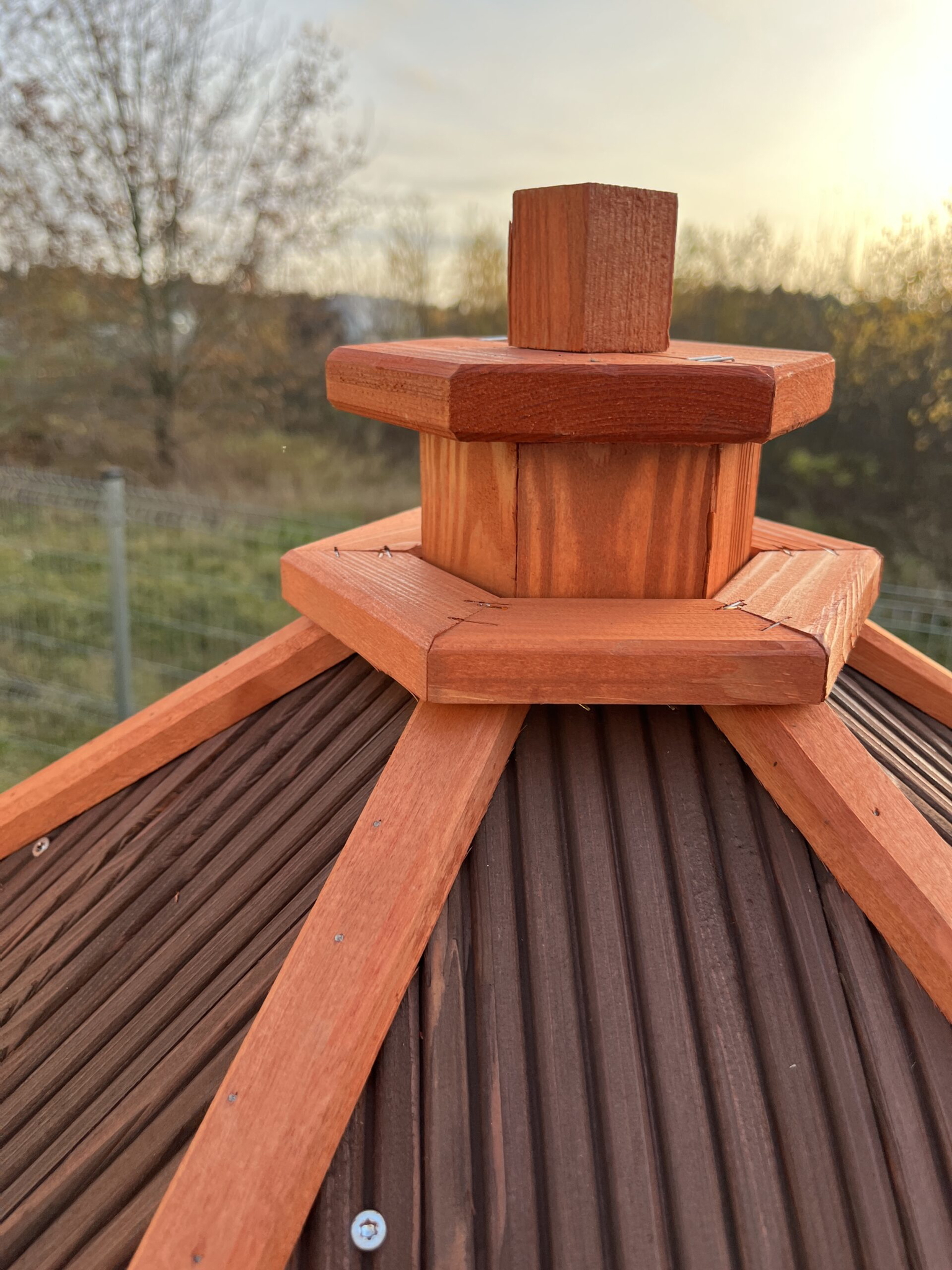 Paukščių lesyklėlė Sniegena - 5