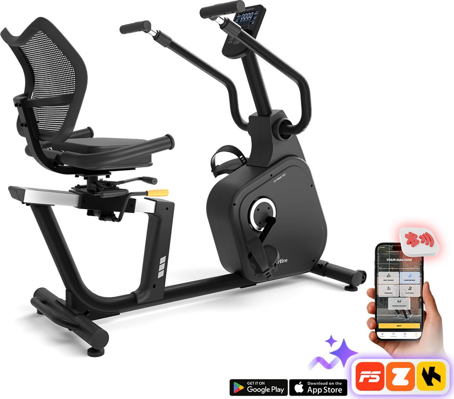 Dviratis inSPORTline ZenSeat 100-0