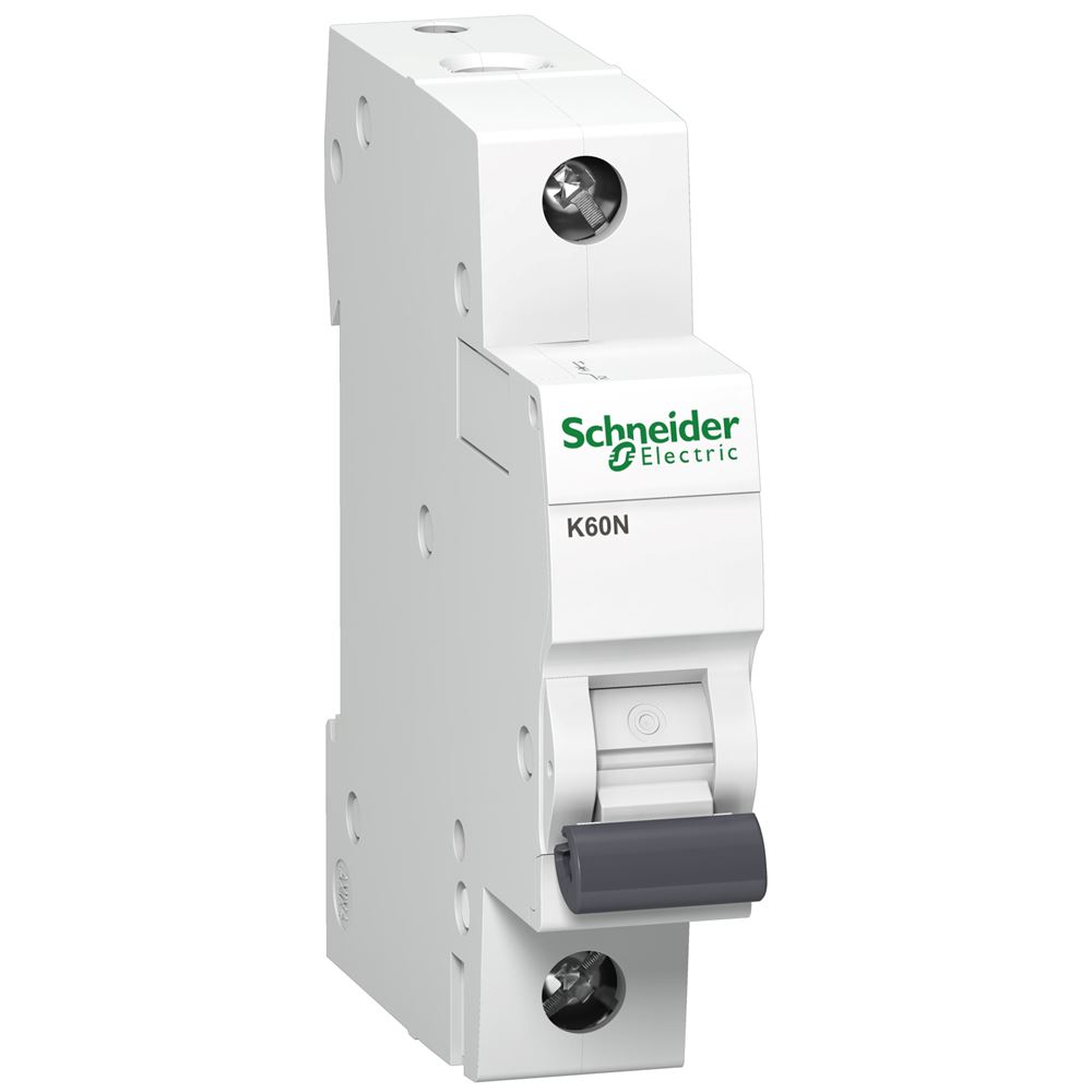 Automatinis jungiklis SCHNEIDER, 1P, C, 2A; A9K02102-0