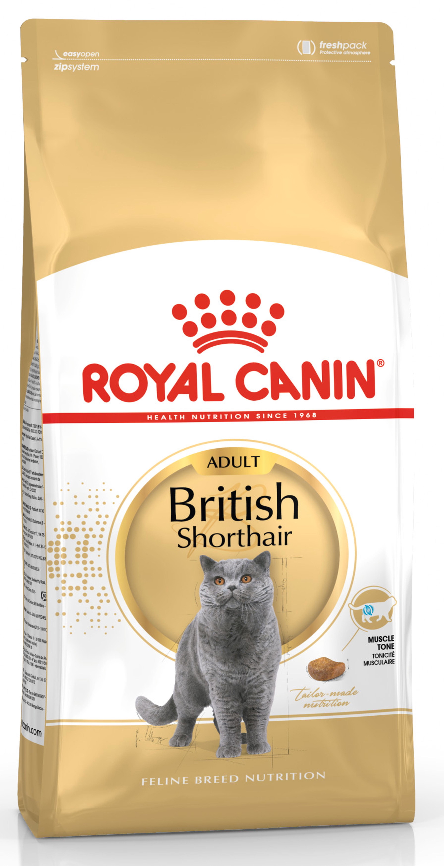 Sausas kačių ėdalas ROYAL CANIN FBN British Shorthair Kitten, 4 kg-0