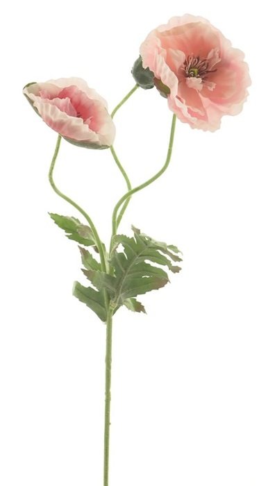 Dirbtinė gėlė Aguona rausvos sp., 70 cm