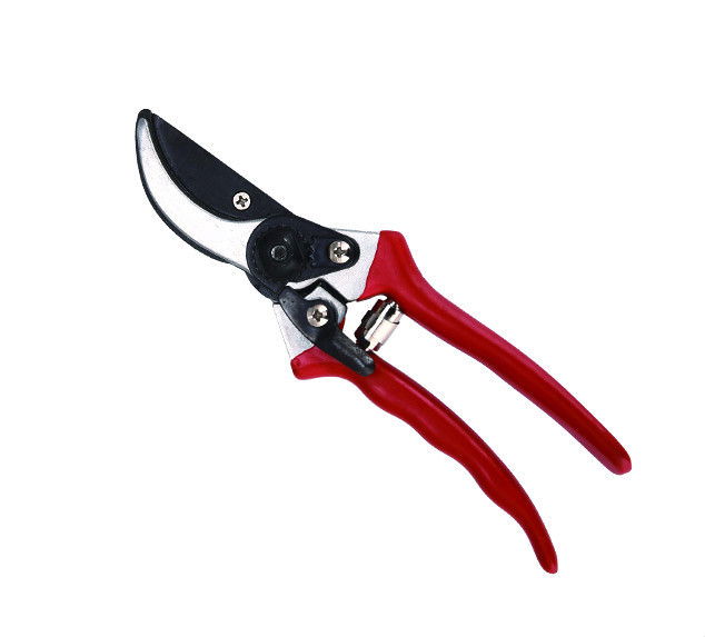 Sekatorius, 21 cm, iki 10 mm storio