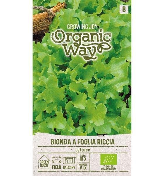 Sėjamųjų salotų BIONDA A FOGLIA RICCIA sėklos, 2 g