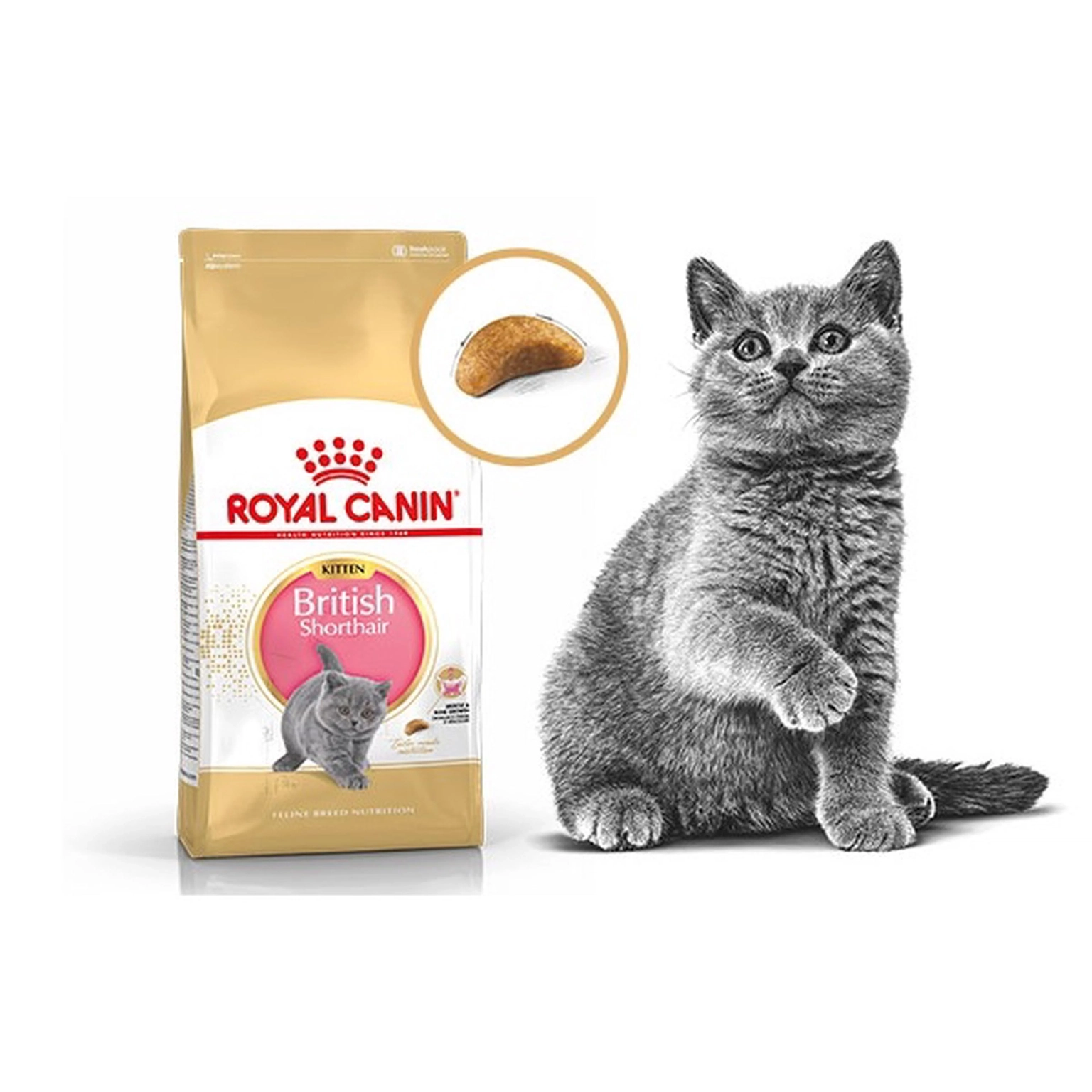Sausas kačių ėdalas ROYAL CANIN FBN British Shorthair Kitten, 2 kg-1