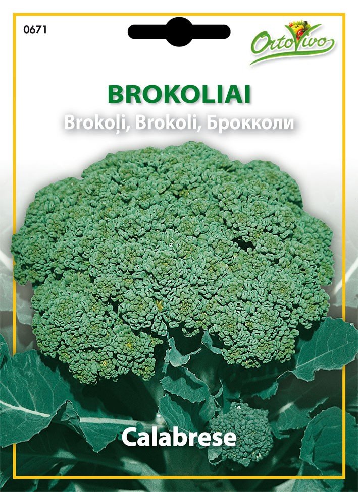 Brokolių sėklos BROCCOLO CALABRESE MEDIO PRECOCE, 2,5 g