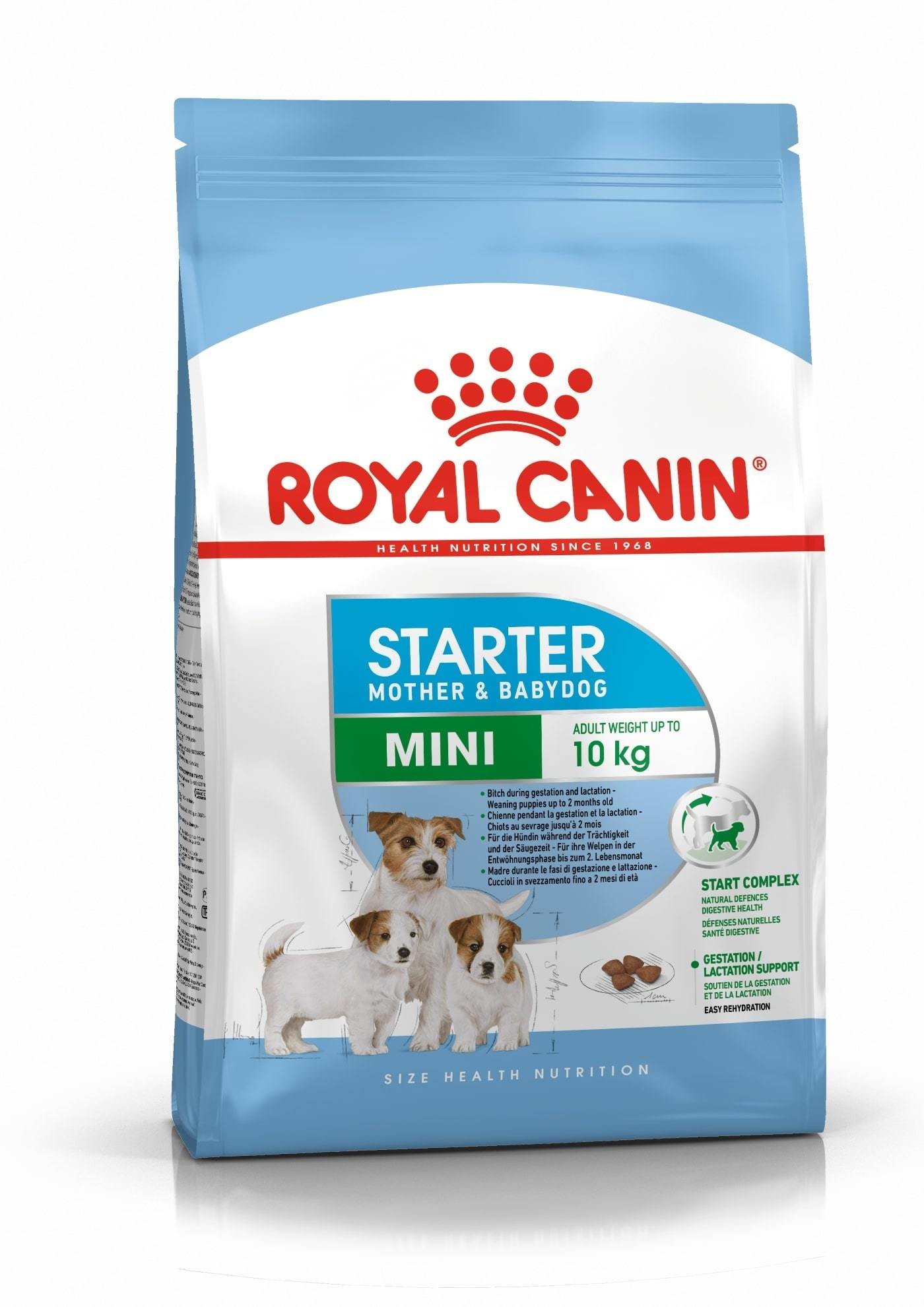 Sausas šunų ėdalas ROYAL CANIN MINI STARTER, 1 kg