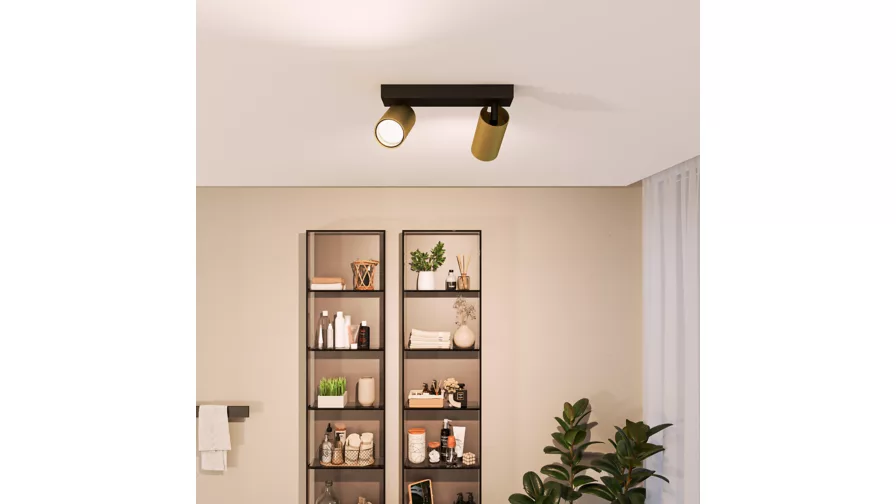 Taškinis LED šviestuvas PHILIPS IDRIS, IP44, 2xGU10, max 2x5W, žalvario sp., 8,3x24x12cm-1