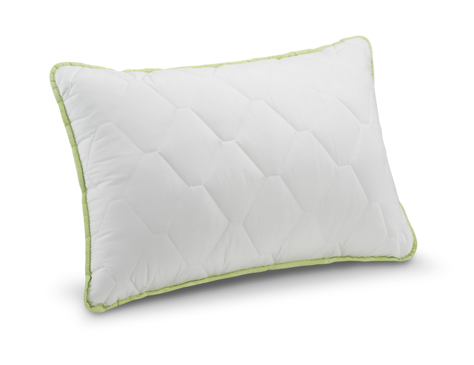 Pagalvė DORMEO ALOE VERA CLASSIC, 50 x 70 cm, 100% poliesterio-1