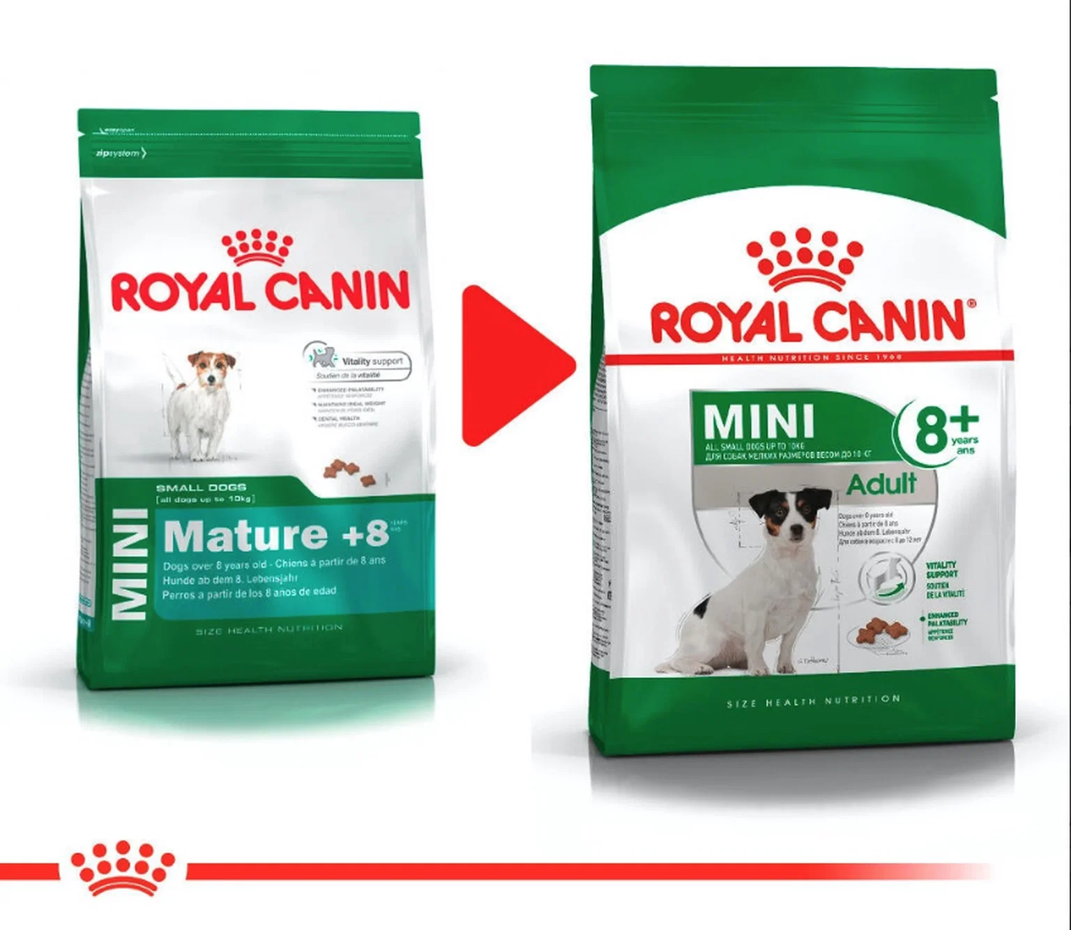 Sausas šunų ėdalas ROYAL CANIN SHN Mini Adult 8+, 8 kg-1