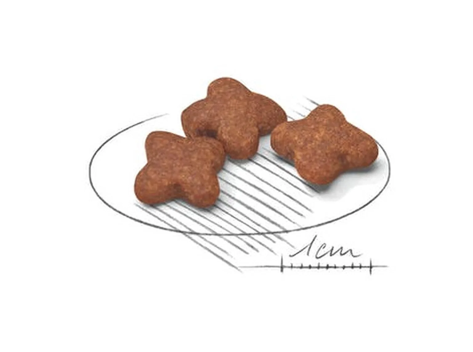 Sausas šunų ėdalas ROYAL CANIN SHN Mini Adult 8+, 8 kg - 3