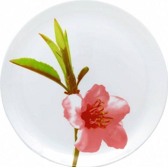 Pietų lėkštė LUMINARC, baltos sp. su gėlių dizainu, ø 25 cm