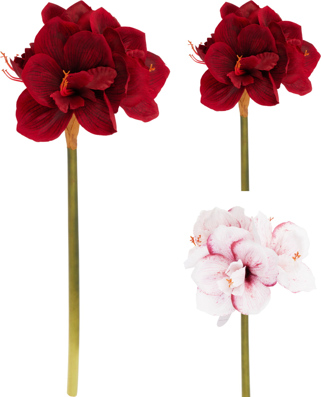 Dirbtinė gėlė AMARYLLIS, 2 rūšių, 66 cm-0