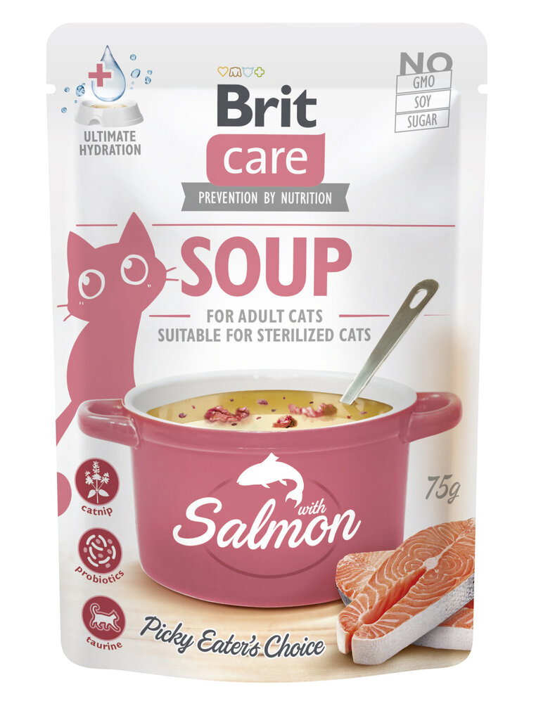 Skanėstas katėms BRIT Cat Soup Salmon, su lašiša, 75 g-0