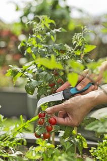 Peilis daržovėms nuimti GARDENA VeggieCut, su galąstuvu ir laikikliu, 20 cm - 4