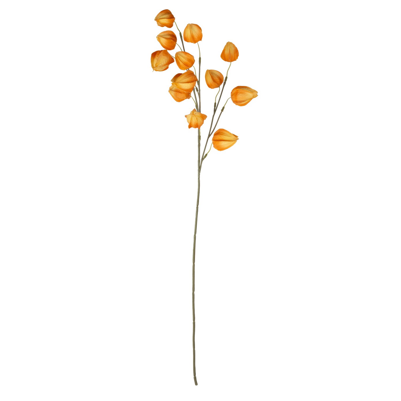 Dirbtinė gėlė ELEMENTS SENSE PHYSALIS, 2 rūšių, 80 cm-0