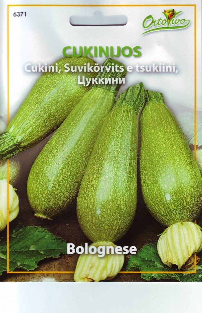 Cukinijų sėklos BOLOGNESE, 2,5 g