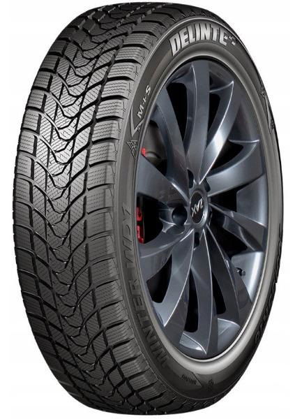 Delinte WD1 205/55 R16 91 H - ermitazas.lt